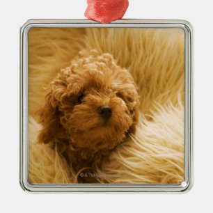 Wrapped up Poodle Metal Tree Decoration