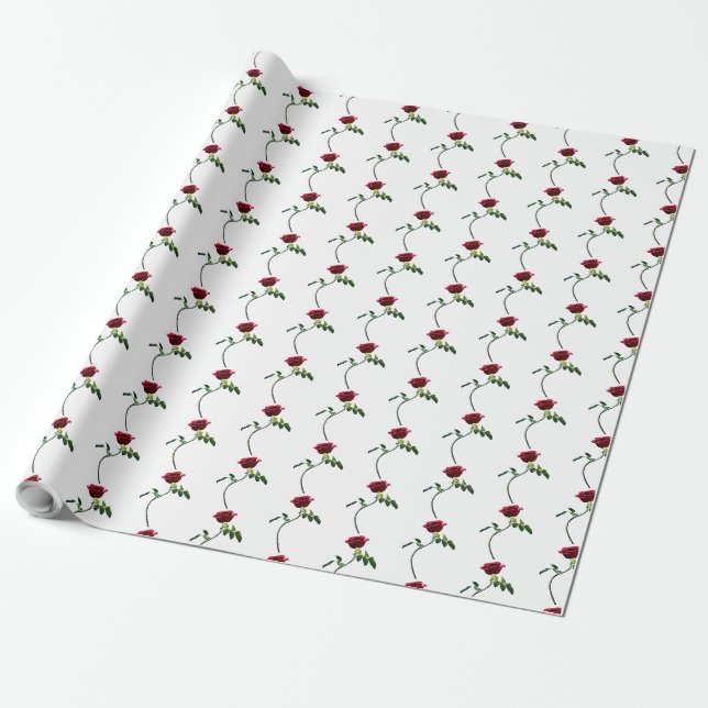 Wrapping Paper (Unrolled)