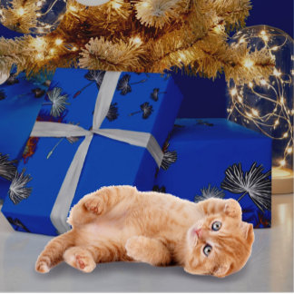 Wrapping Paper
