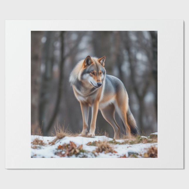 Wrapping paper  (Flat)