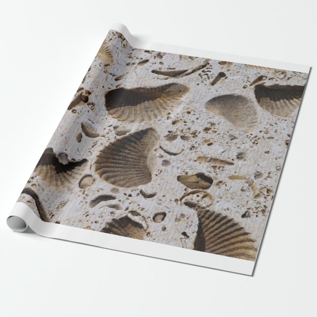 Wrapping Paper (Unrolled)