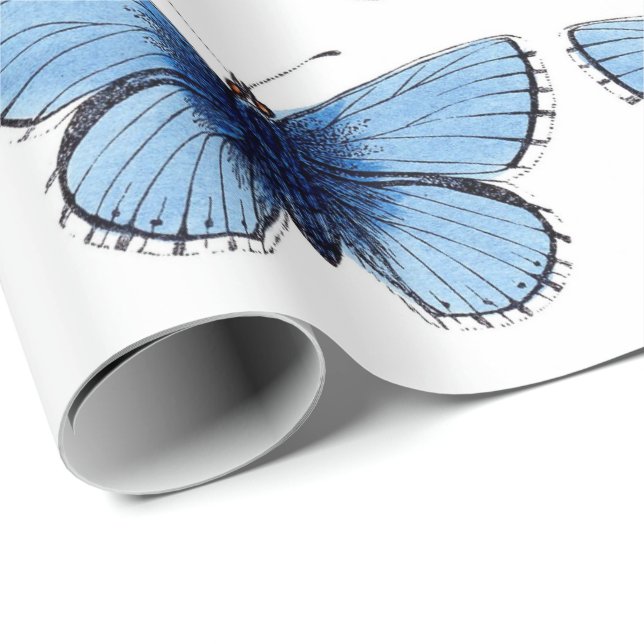 Wrapping Paper - Blue Butterfly (Roll Corner)