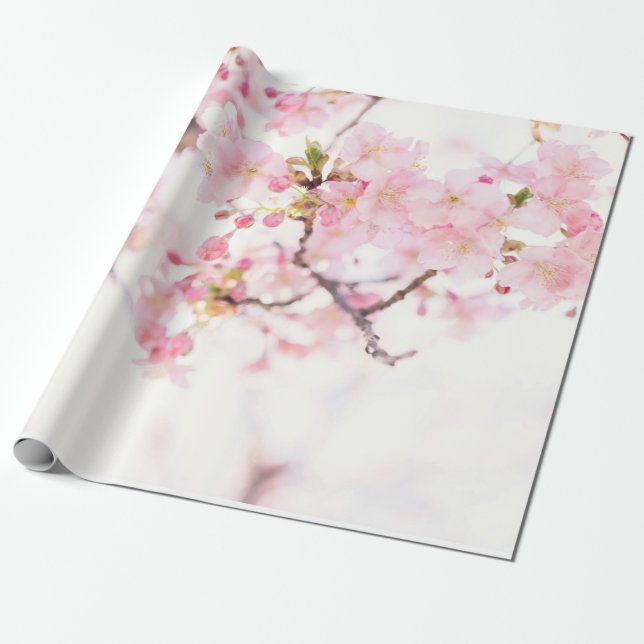 WRAPPING PAPER: CHERRY BLOSSOMS  WRAPPING PAPER (Unrolled)