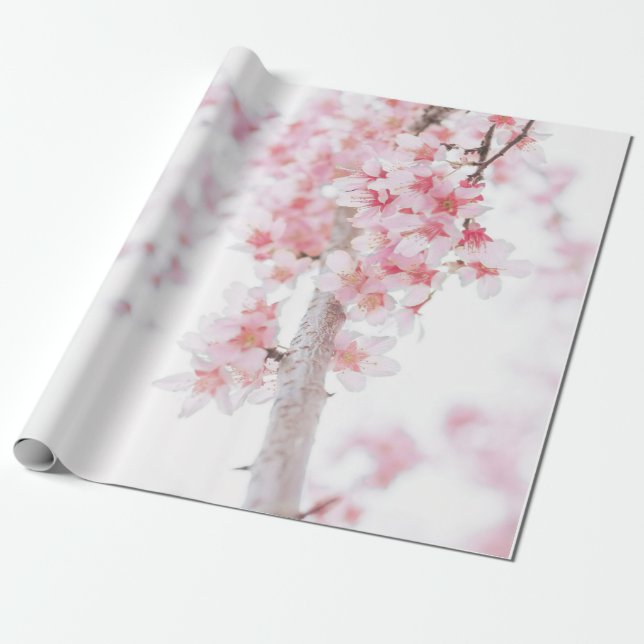 WRAPPING PAPER: CHERRY BLOSSOMS WRAPPING PAPER (Unrolled)
