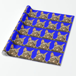Wrapping Paper Cornish Rex Tiger Cat Blue