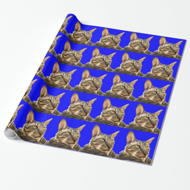 Wrapping Paper |Cornish Rex Tiger Cat Blue (Unrolled)