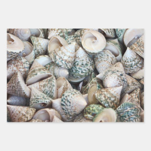 Wrapping paper for ocean lovers!