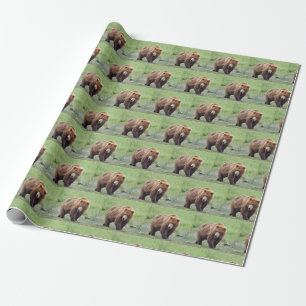 Wrapping Paper OF GRIZZLY BEAR