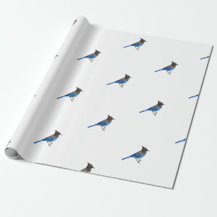 wrapping paper of stellar blue jay