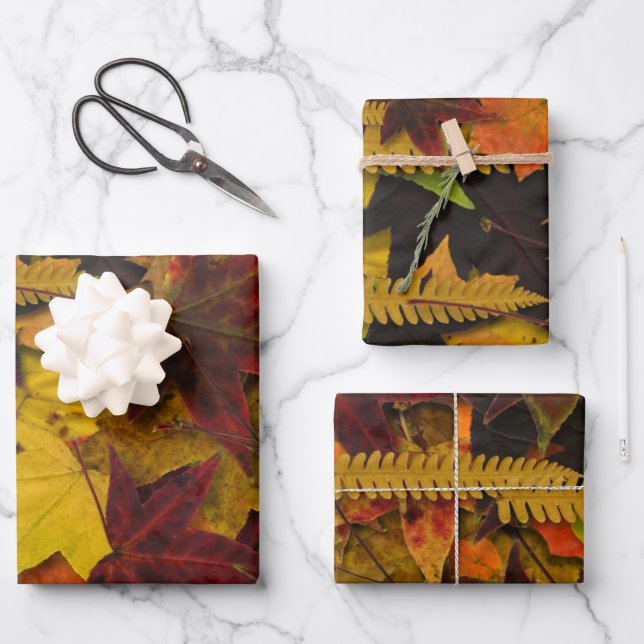 Wrapping Paper Set - Autumn Leaves (Front)