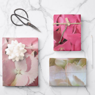 Wrapping Paper Set - Hydrangea Collection I