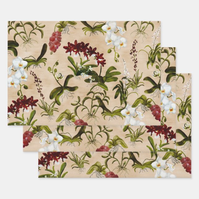 Wrapping Paper Sheets - Orchid Pattern in Biege (Set)