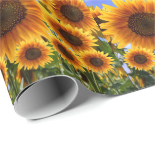 Wrapping paper Sunflower