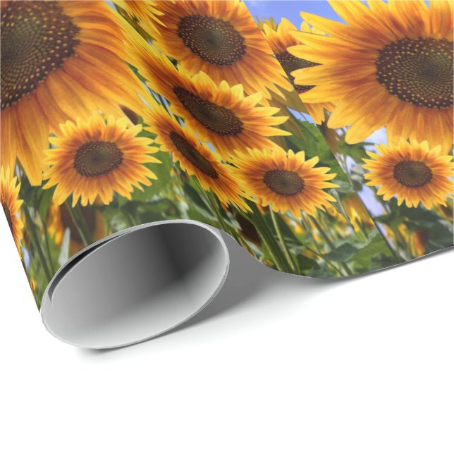 Wrapping paper Sunflower (Roll Corner)