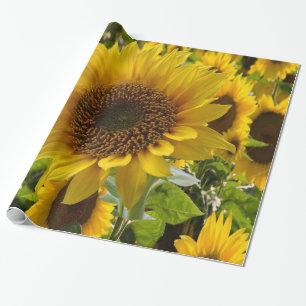 Wrapping paper Sunflower