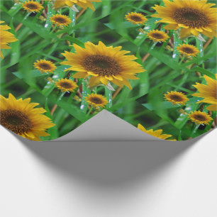 Wrapping paper Sunflower