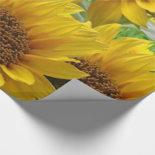 Wrapping Paper Sunflowers