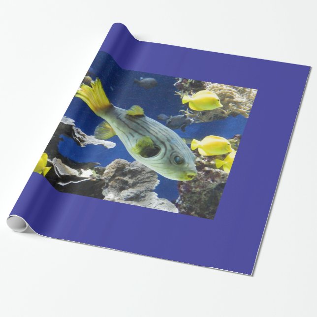 wrapping paper, under the sea, fish paper (Unrolled)