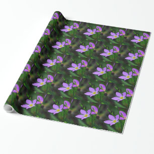 Wrapping Paper Wildflower Sabatia in Lavender