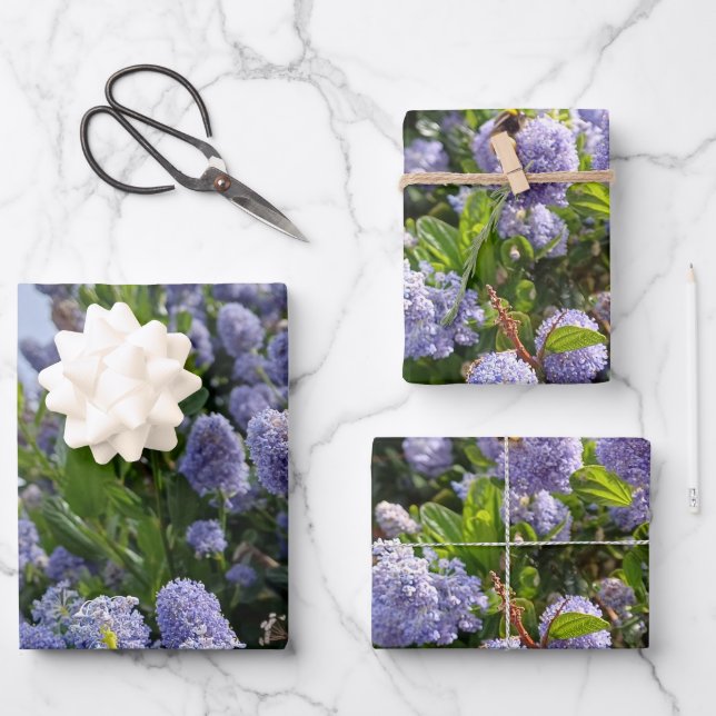 Wrapping paper with lilac flower images (Front)
