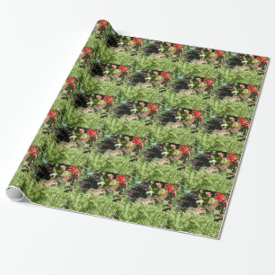 wrapping paper with photo of cute chipmunk