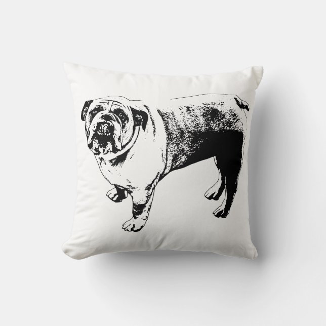 Wreath‑Frame Sofa Accent Cushion (Front)