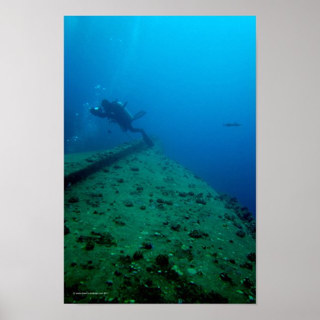 Wreck Diver Poster (Front)