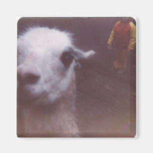 Wrecked 'Um Llama Magnet