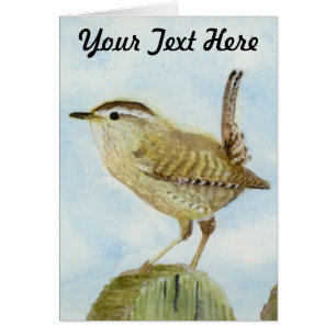 Wren