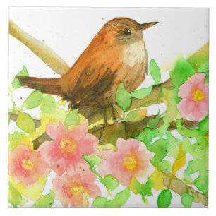 Wren Bird In Tree Rugosa Wild Pink Roses Botanical Tile