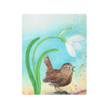 Wren Bird Sing at Dawn In the Spring 