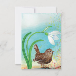 Wren Bird Sing at Dawn In the Spring  Card