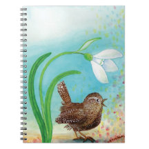 Wren Bird Sing at Dawn In the Spring 