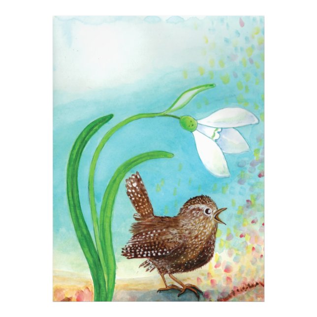 Wren Bird Sing at Dawn In the Spring  Photo Print (Front)