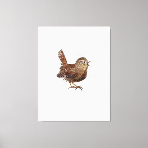 Wren Bird (Troglodytes Troglodytes) Canvas Print