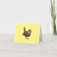Wren Bird (Troglodytes Troglodytes) 