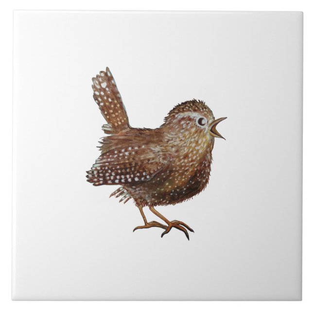 Wren Bird (Troglodytes Troglodytes) Illustration Tile (Front)