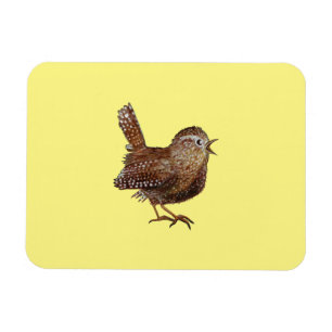 Wren Bird (Troglodytes Troglodytes)   Magnet