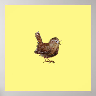 Wren Bird (Troglodytes Troglodytes) Poster