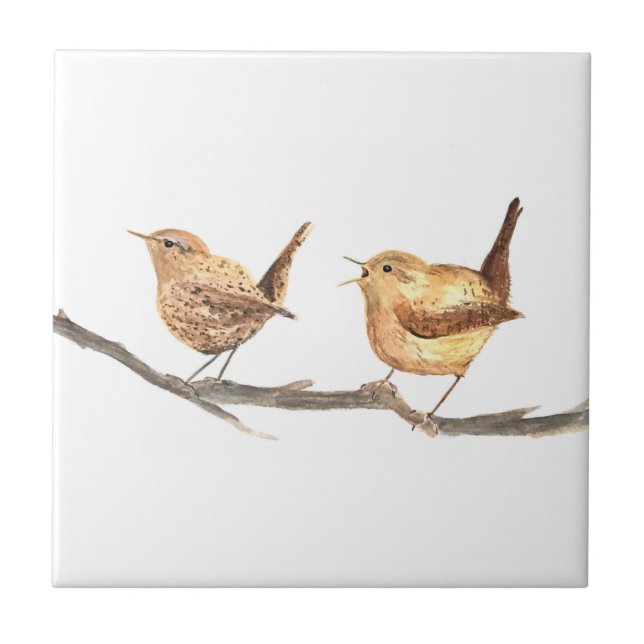 Wren Bird Wildlife Watercolor Colourful  Tile (Front)