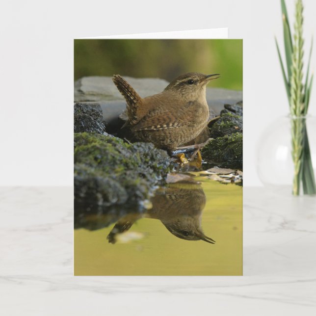 Wren Card (Front)