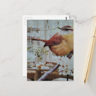 Wren in the Dining Room Surreal Collage Postcard
