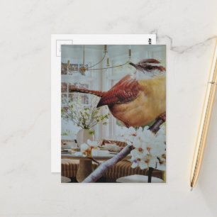 Wren in the Living Room Surreal Collage Postcard