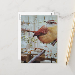 Wren in the Living Room Surreal Collage Postcard