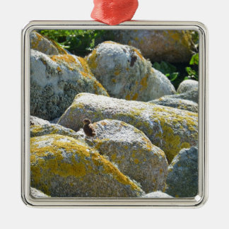 Wren Metal Tree Decoration