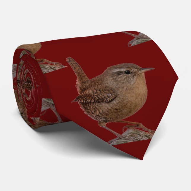 Wren Neck Tie (Rolled)
