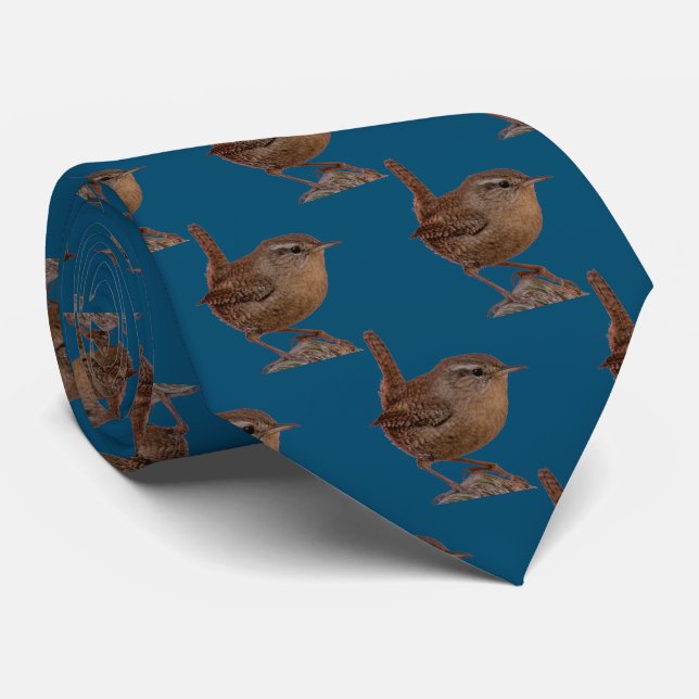Wren Neck Tie (Rolled)