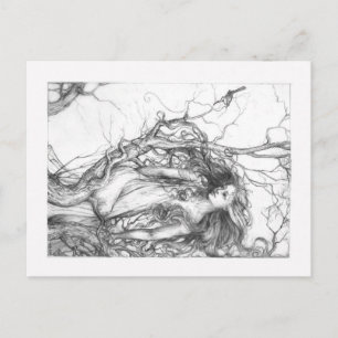 Wren Postcard