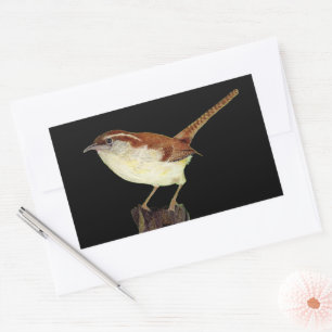 Wren Rectangular Sticker