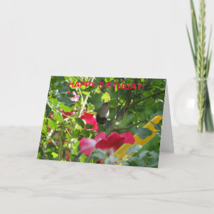 Wren & Roses, Birthday Card